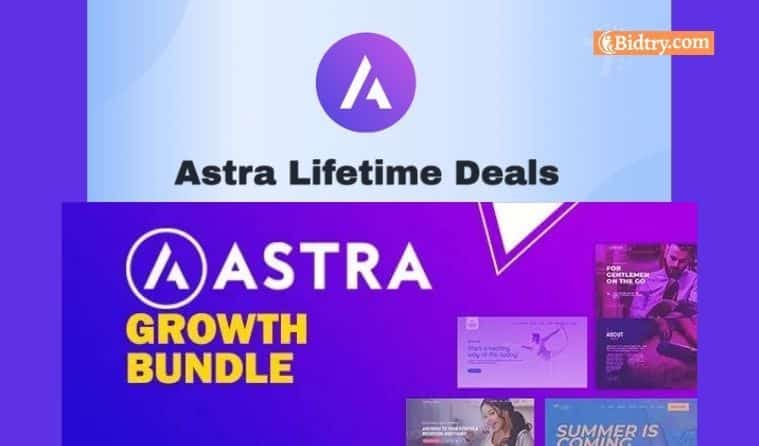 410Schema Pro Plugin Original Lifetime Update License Key