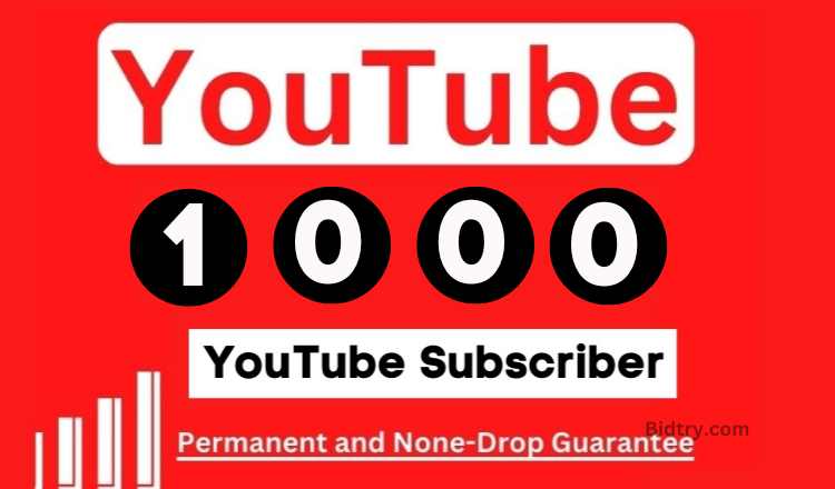 27574I will Provide 8000+ HQ & Non Drop YouTube Views