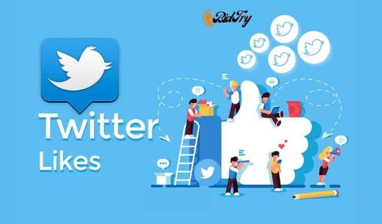 27693WP Rocket 100% Original Lifetime Update License Key