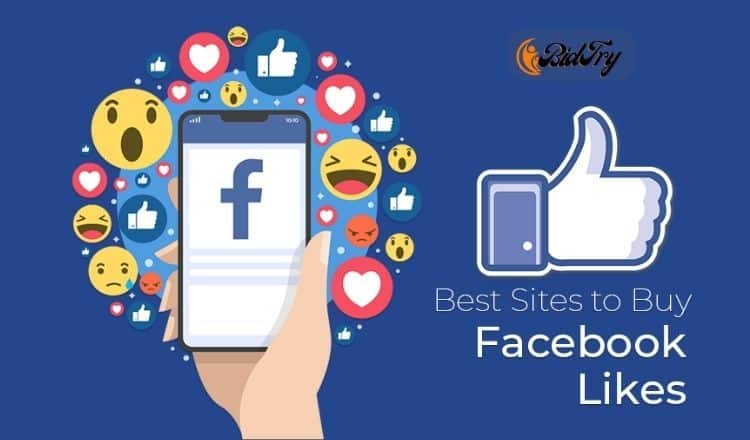 27742I will Provide 500+ Facebook Page Likes HQ & Non Drop